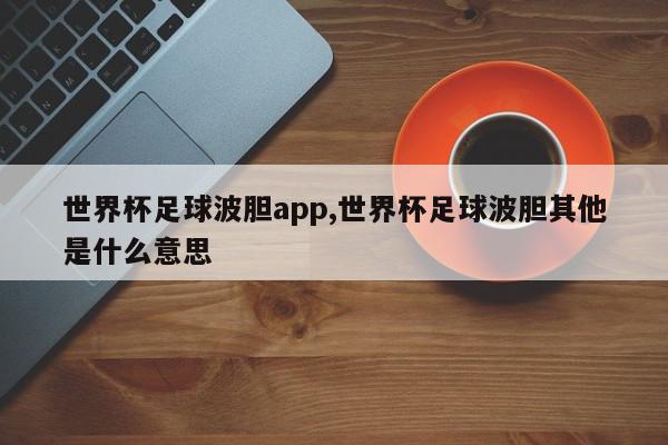 世界杯足球波胆app,世界杯足球波胆其他是什么意思