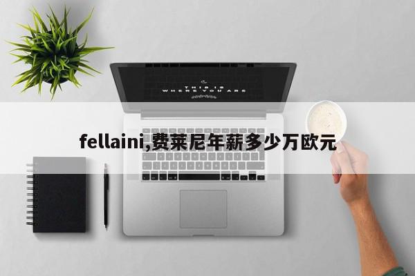 fellaini,费莱尼年薪多少万欧元