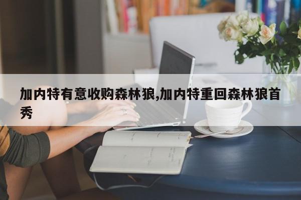 加内特有意收购森林狼,加内特重回森林狼首秀