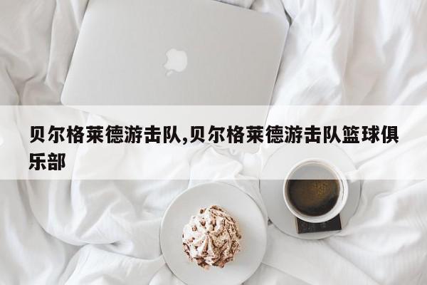 贝尔格莱德游击队,贝尔格莱德游击队篮球俱乐部