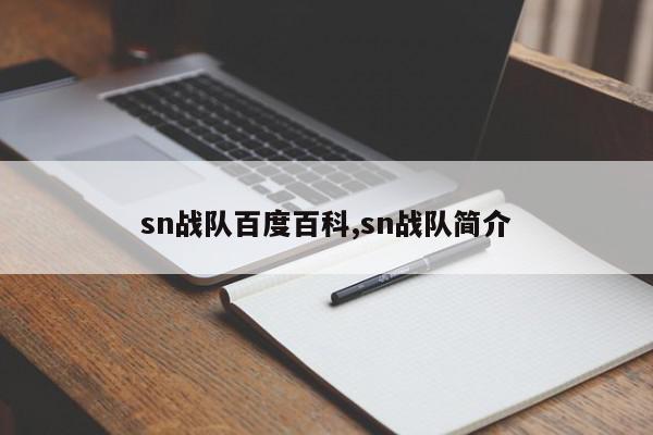 sn战队百度百科,sn战队简介