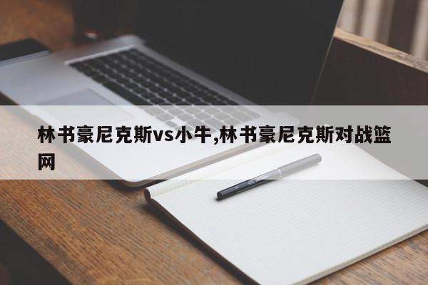 林书豪尼克斯vs小牛,林书豪尼克斯对战篮网