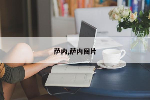 萨内,萨内图片