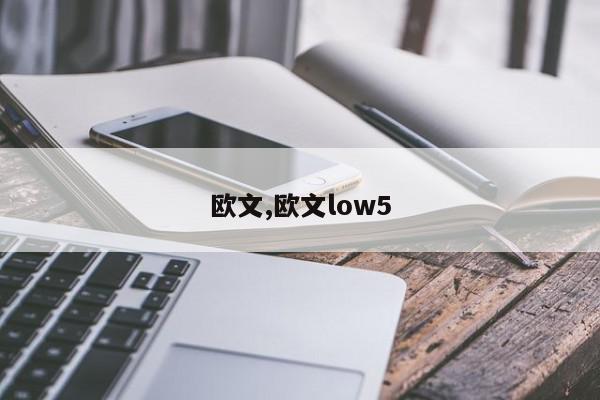 欧文,欧文low5