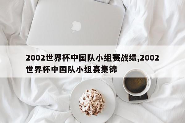 2002世界杯中国队小组赛战绩,2002世界杯中国队小组赛集锦